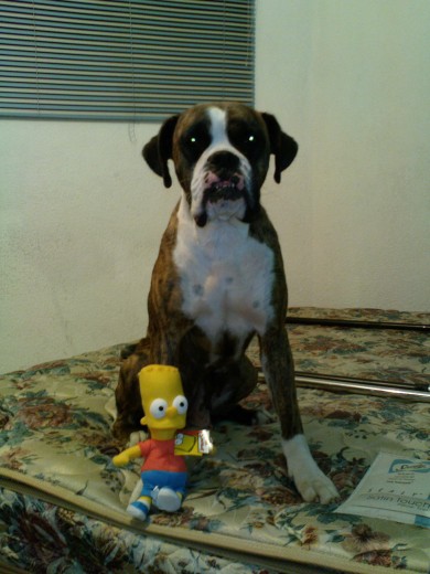 La Kynita y su Bart Simpson